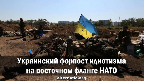 Украинский форпост идиотизма на восточном фланге НАТО