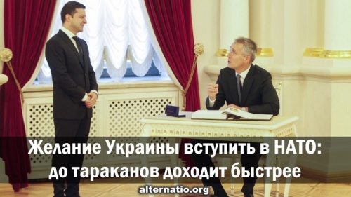 Желание Украины вступить в НАТО: до тараканов доходит быстрее